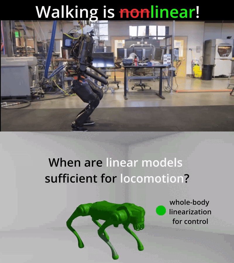 linear-walking.gif